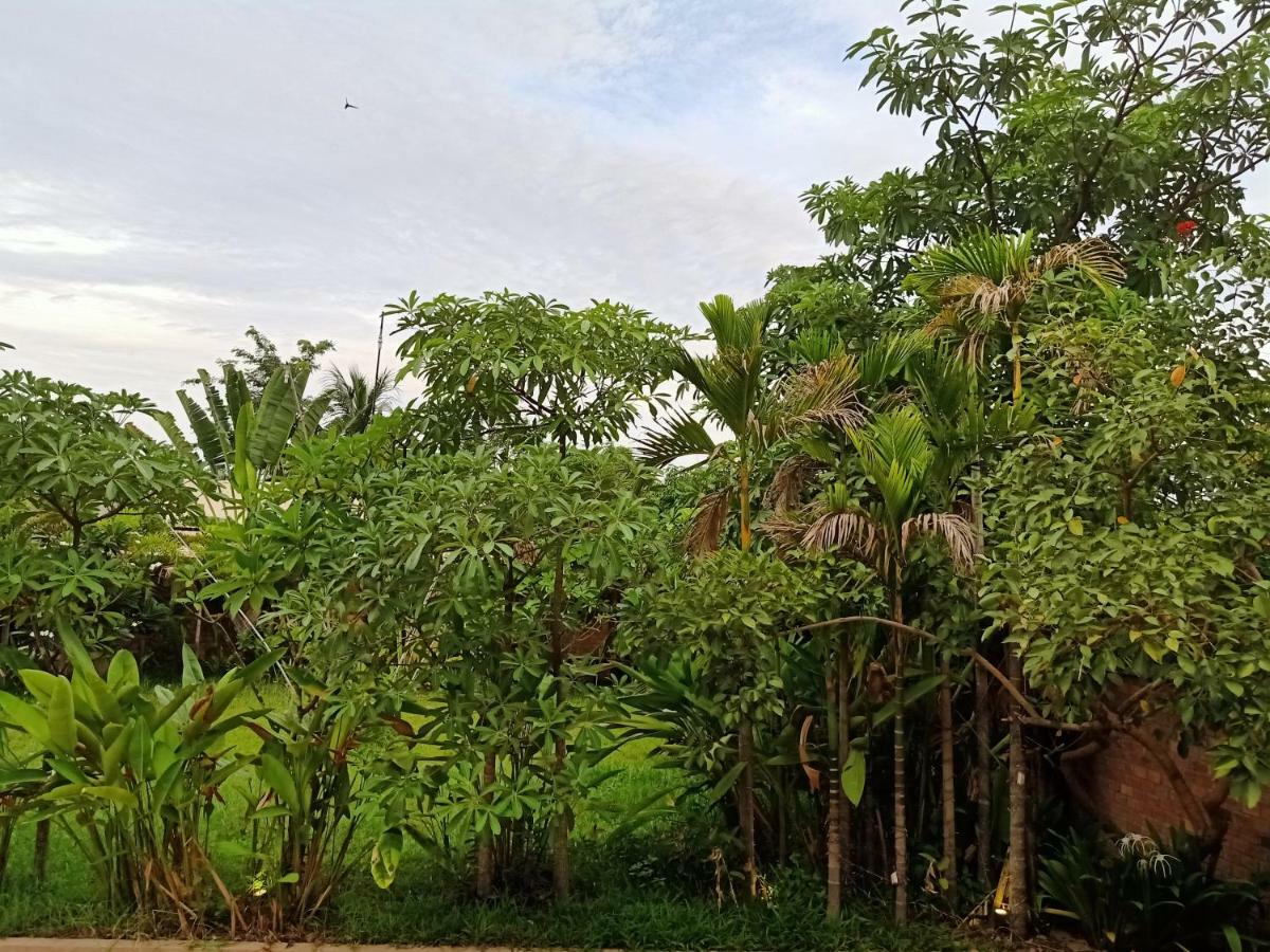 Filia D'Angkor Boutique Villa Siem Reap Eksteriør billede